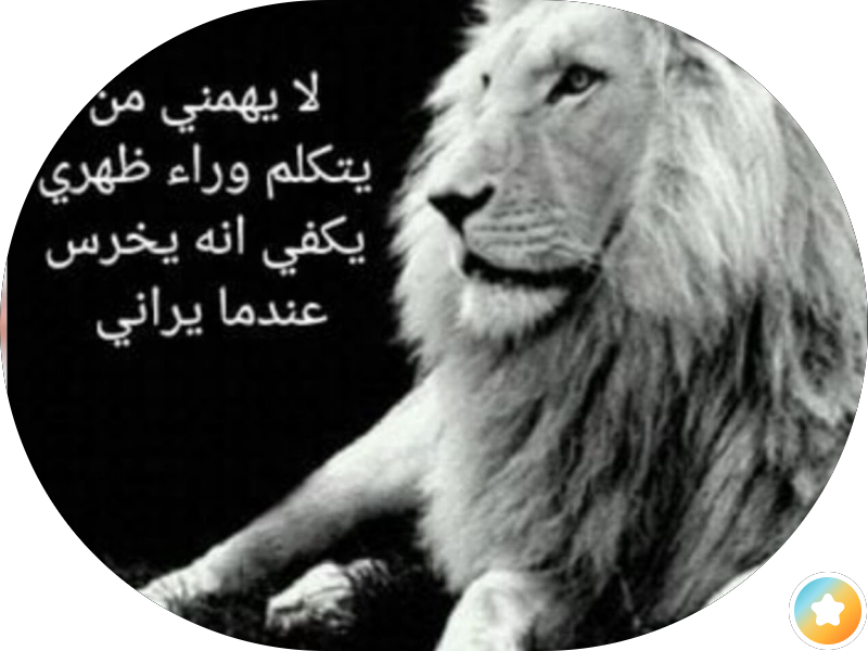 كهرباء وبنشر فور هاندرد photo 5