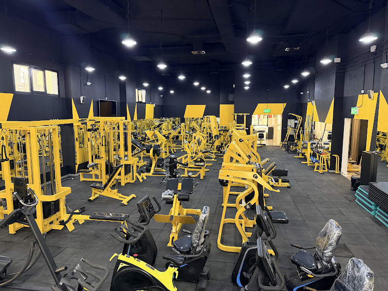 TIGER GYM