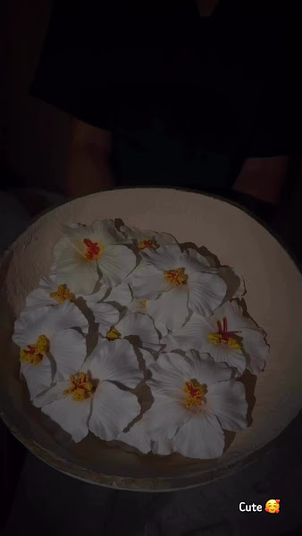 Hush spa photo 4