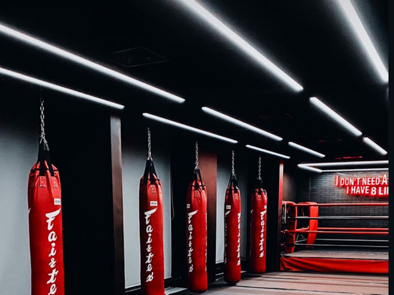 8 LIMBS GYM