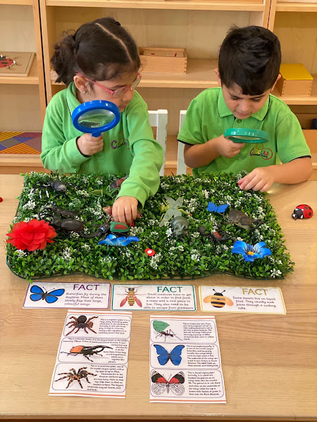 Circles Montessori Nursery - Mishref photo 3